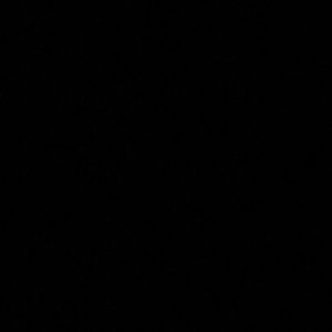 Meet your Posher, Lyla